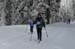 IMG_7958
